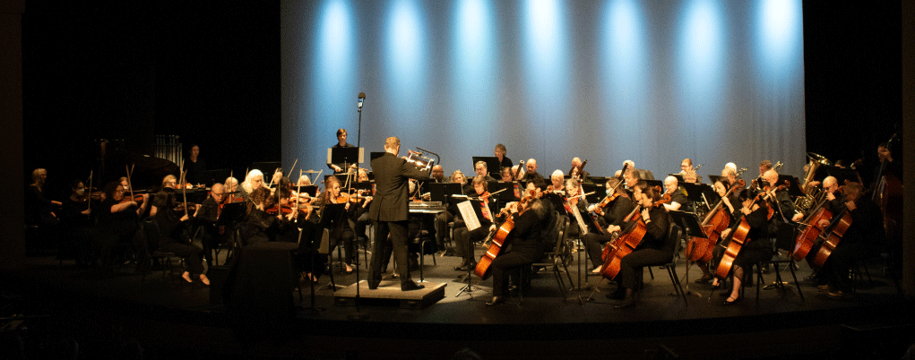 Orchestra Performing